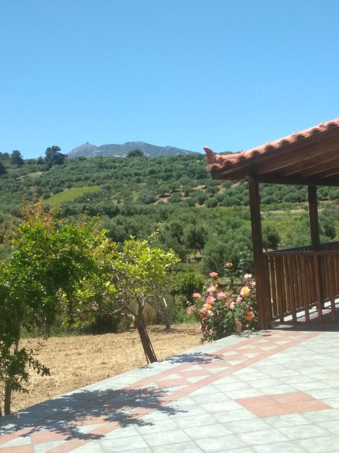 Eden Garden Villa Near Knossos Skalanion Exterior foto